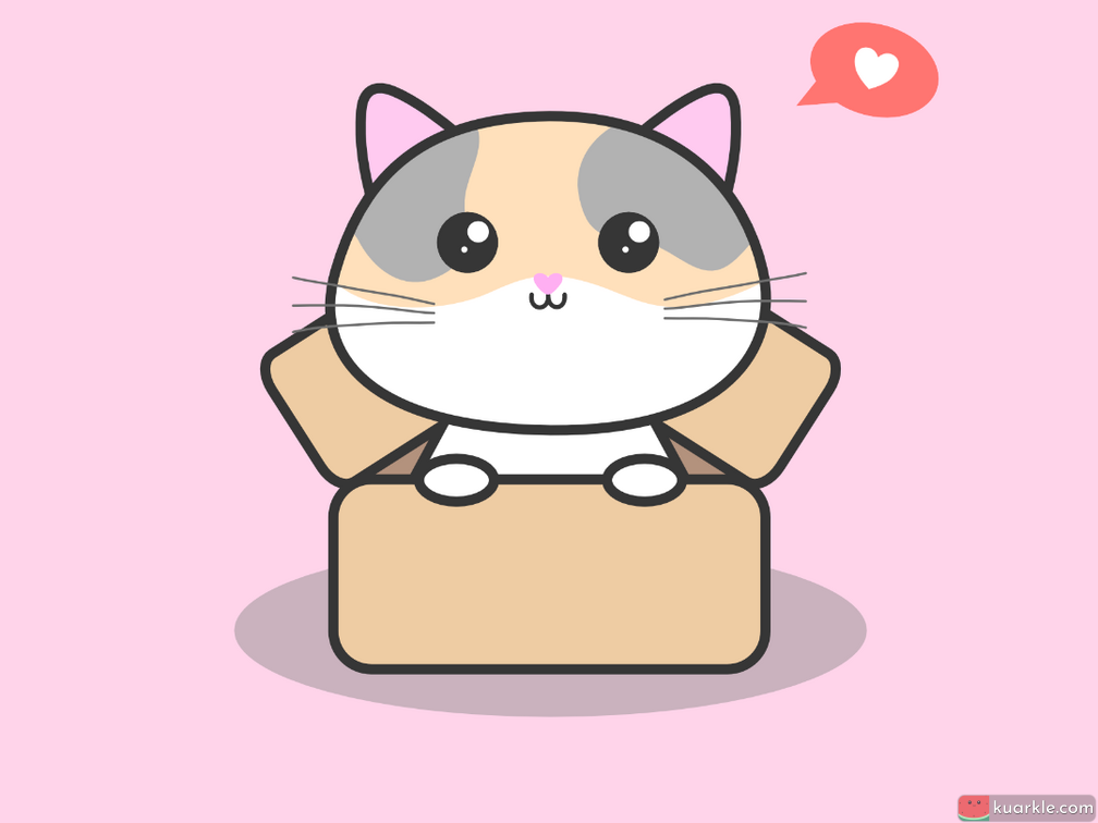Cat in the box wallpaper