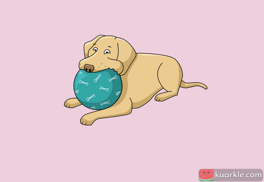 Dog playing with a ball - 2