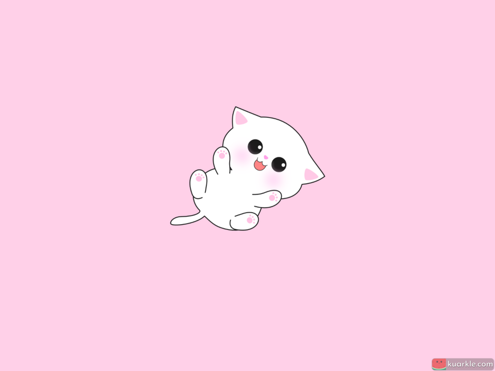 Cute kitty on a pink background - wallpaper